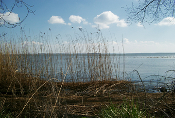 Halbinsel Gnitz